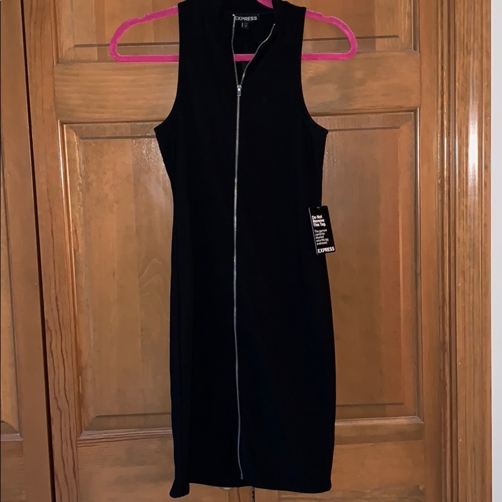 NWT express fitted dress